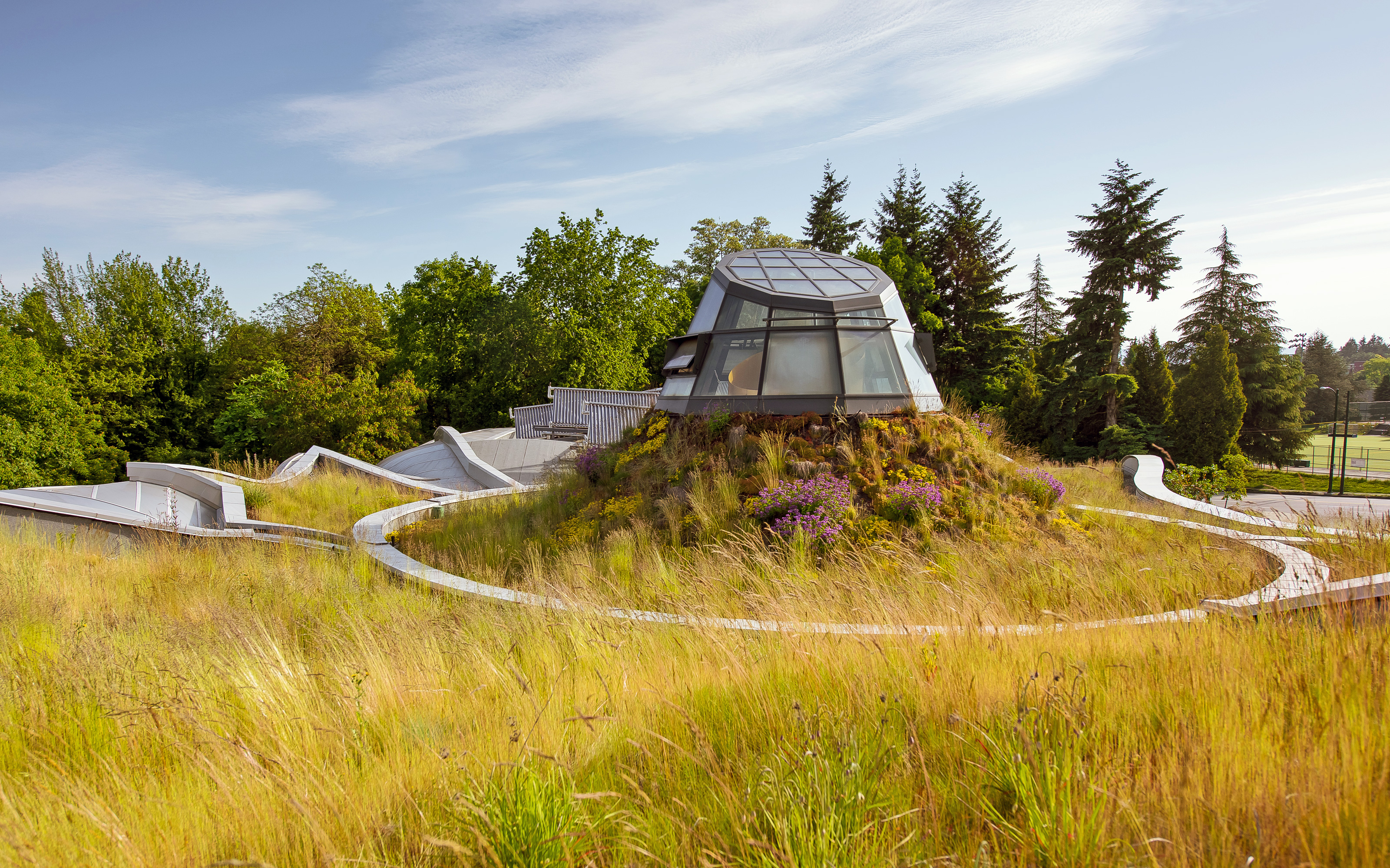 The stem of the orchid flower is represented by the central atrium. Green roof with grasses and atrium